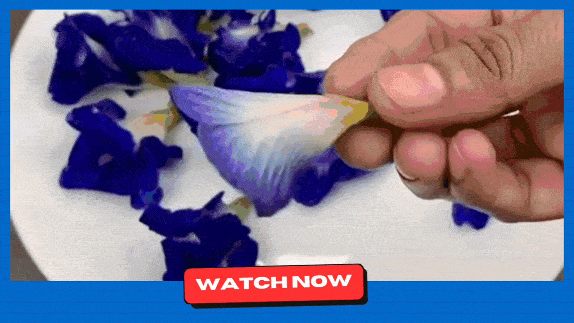 Watch Now